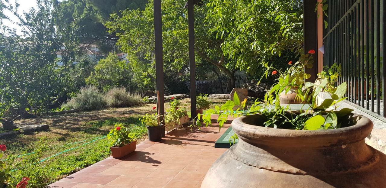 Apartamentossierradegata La Noguera Villamiel Εξωτερικό φωτογραφία