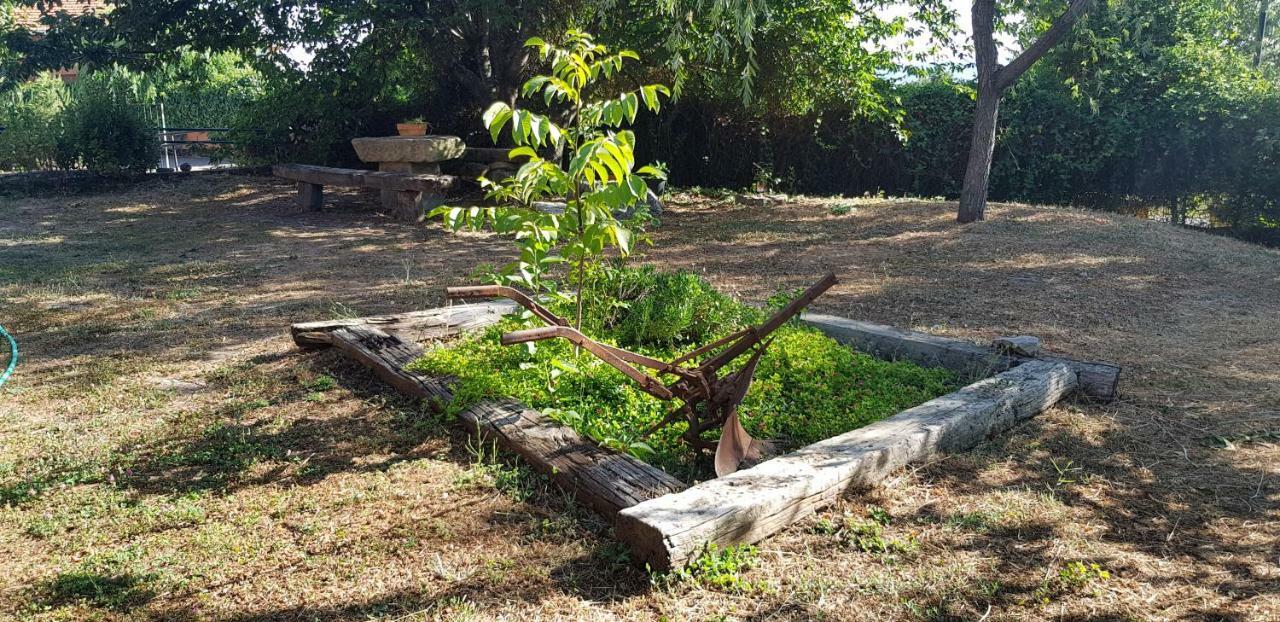 Apartamentossierradegata La Noguera Villamiel Εξωτερικό φωτογραφία