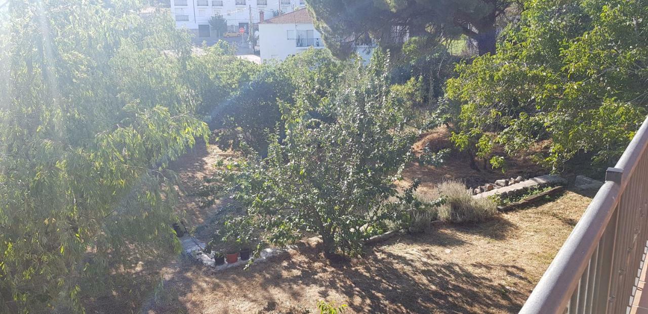 Apartamentossierradegata La Noguera Villamiel Εξωτερικό φωτογραφία